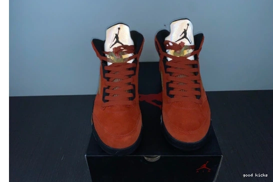 5 DD9336-800 on Jordan DD9336-800 Mars Retro Dunk 0501